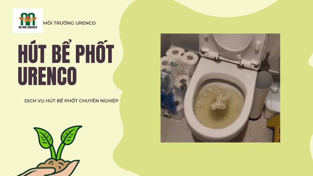 bồn cầu trào ngược